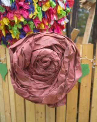 Rose