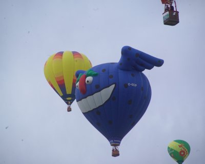 G4NR5808.JPG