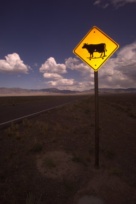 Those Crazy Nevada Skateboarding Cows