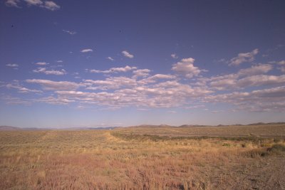 2009-a 247.jpg