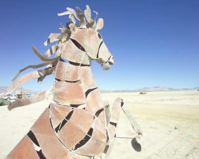 burning man 2009 048.JPG