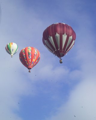 2009 albequerque ballonfest 206.JPG