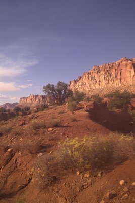 Western Utah 2009 017.jpg