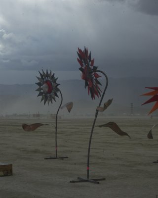 Burning Man 2010c 269.JPG