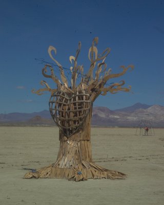 Burning Man 2010c 383.JPG