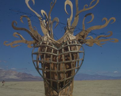 Burning Man 2010c 384.JPG