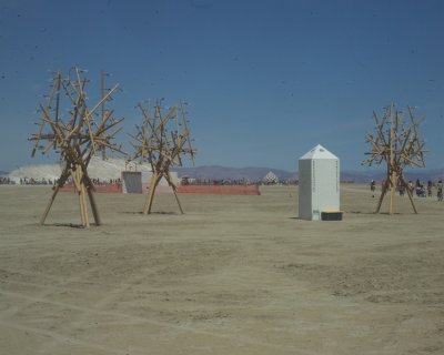 Burning Man 2010c 477.JPG