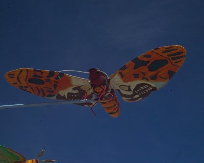 Burning Man 2010c 482.JPG