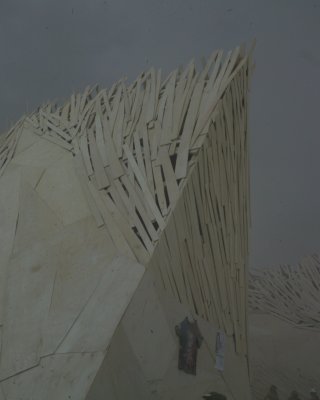 Burning Man 2010c 514.JPG