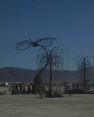 Burning Man 2010d 048.JPG