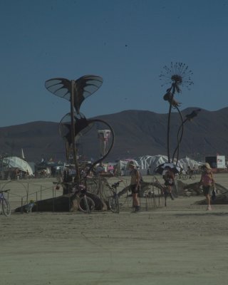 Burning Man 2010d 050.JPG