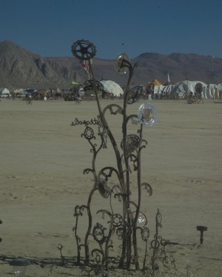 Burning Man 2010d 056.JPG