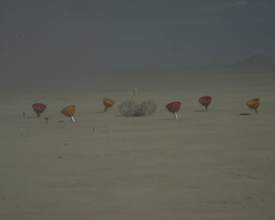 Burning Man 2010d 123.JPG