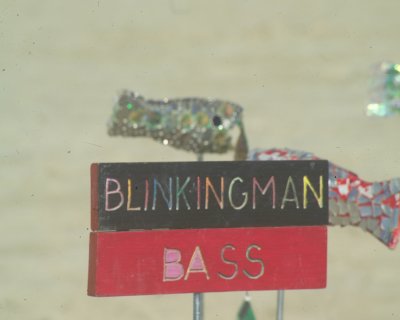 Burning Man 2010a 316.JPG