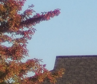 KironHouse20crop.jpg
