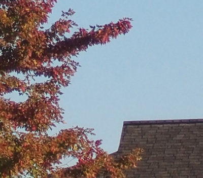 KironHouse28crop.jpg