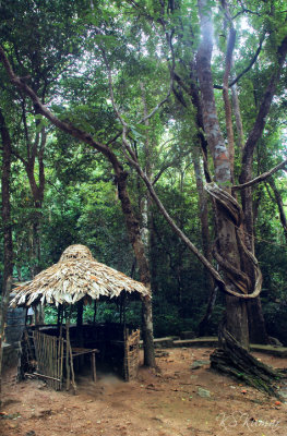 Ponmudi