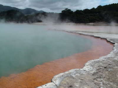 Thermal area near Rotorua
