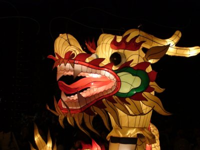 Dragon -  - Chinese lantern festival 2009, Aukland