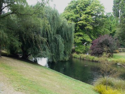 Christchurch Botanical Garden