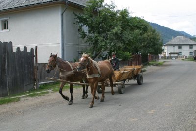Hay wagon in Maramures