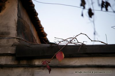 IMGP2719a.jpg