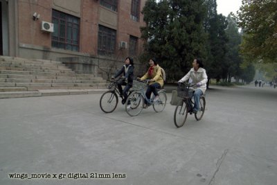 _1019555 copy.jpg