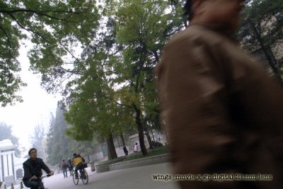 _1019564 copy.jpg