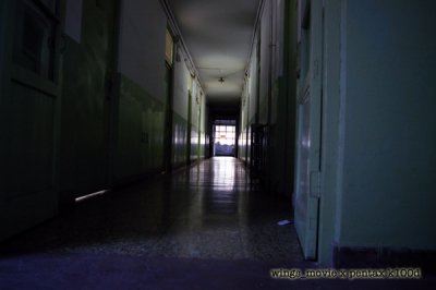 IMGP2993a.jpg