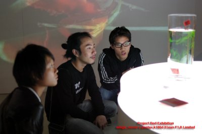 IMGP4556.jpg