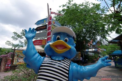IMGP2174.jpg