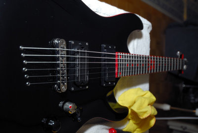 SheDvl780NXjw.jpg
