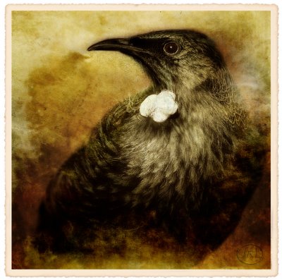 The Tui