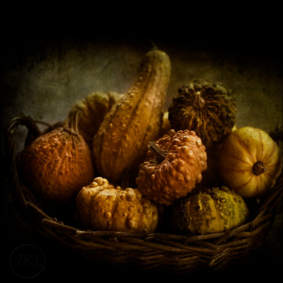 Gourds