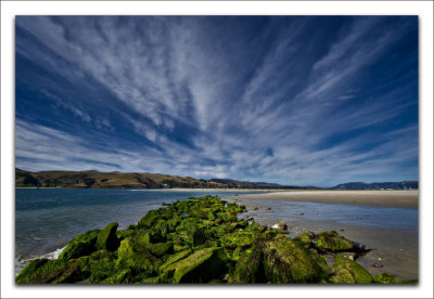 Aramoana, pathway to the sea