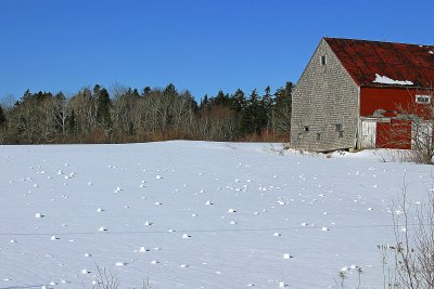 472  SNOW ROLLERS