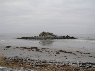P1010028.JPG