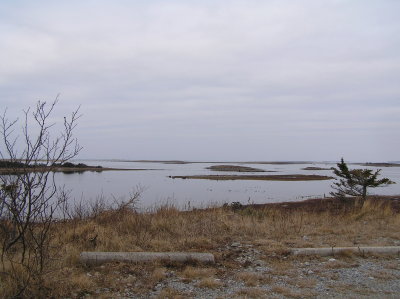 P1010019.JPG