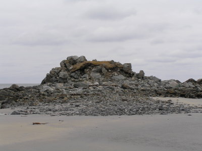 P1010003.JPG