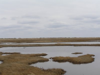 P1010025.JPG