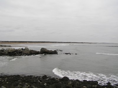 P1010009.JPG