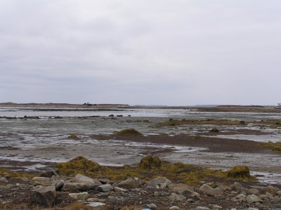 P1010026.JPG