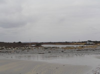 P1010008.JPG