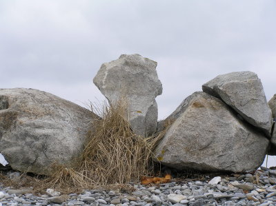 P1010022.JPG