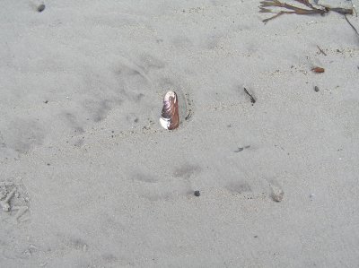 P1010019.JPG