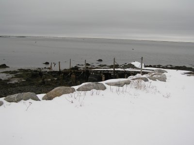 P1010016.JPG