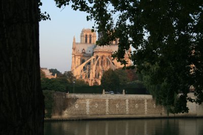 Notre-Dame in Morning Light