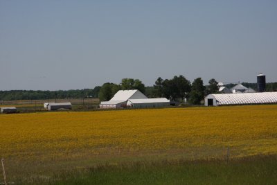 Mid West USA