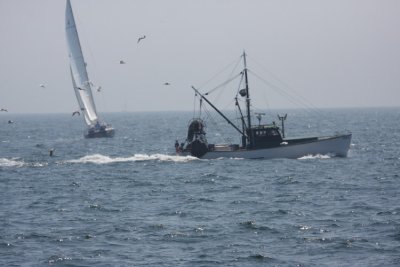 IMG_4936_1.JPG