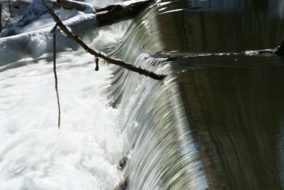 IMG_8771.JPG